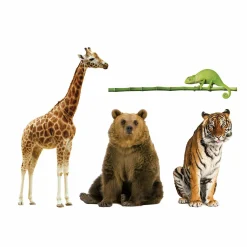 CLEMENTONI Animali da record><noscript><img width=