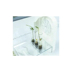 CLEMENTONI – scienza e gioco – botanica hitech><noscript><img width=