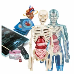 CLEMENTONI – scienza e gioco lab – anatomia super, laboratorio scientifico> Giochi Scientifici