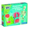 CLEMENTONI scienza & gioco anatomia scheletro e organi 19414 – kit educativo anatomia umana> Giochi Scientifici