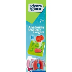 CLEMENTONI scienza & gioco anatomia scheletro e organi 19414 – kit educativo anatomia umana><noscript><img width=