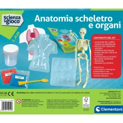 CLEMENTONI scienza & gioco anatomia scheletro e organi 19414 – kit educativo anatomia umana><noscript><img width=