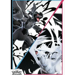 POKEMON Collezione con poster unima  del gcc pokémon><noscript><img width=
