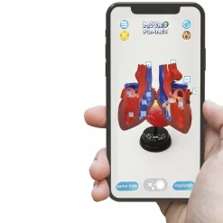 MICRO PLANET Cuore – modello anatomico in 3d><noscript><img width=