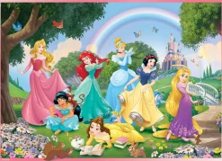 Disney puzzle df maxi floor 108 princess – rainbow world> Puzzle Per Bambini