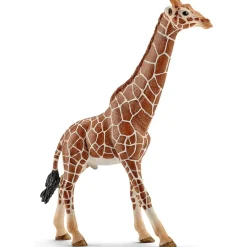 Schleich Giraffa, maschio –> Action Figures