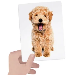 HEADU – flashcards tactile montessori><noscript><img width=