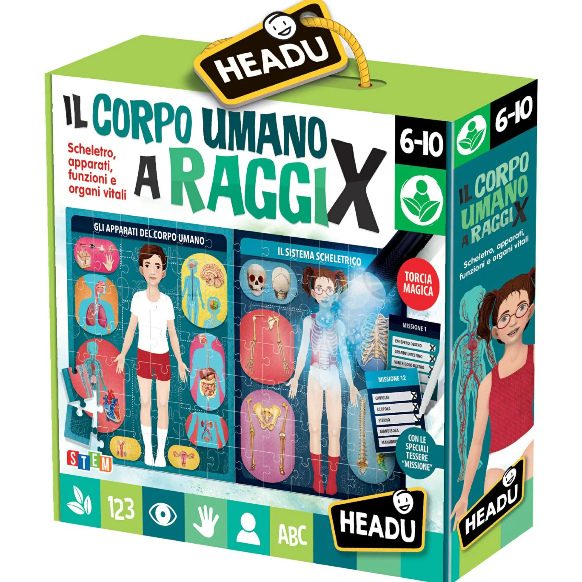 HEADU – il corpo umano a raggi x> Primi Apprendimenti