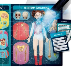 HEADU – il corpo umano a raggi x><noscript><img width=