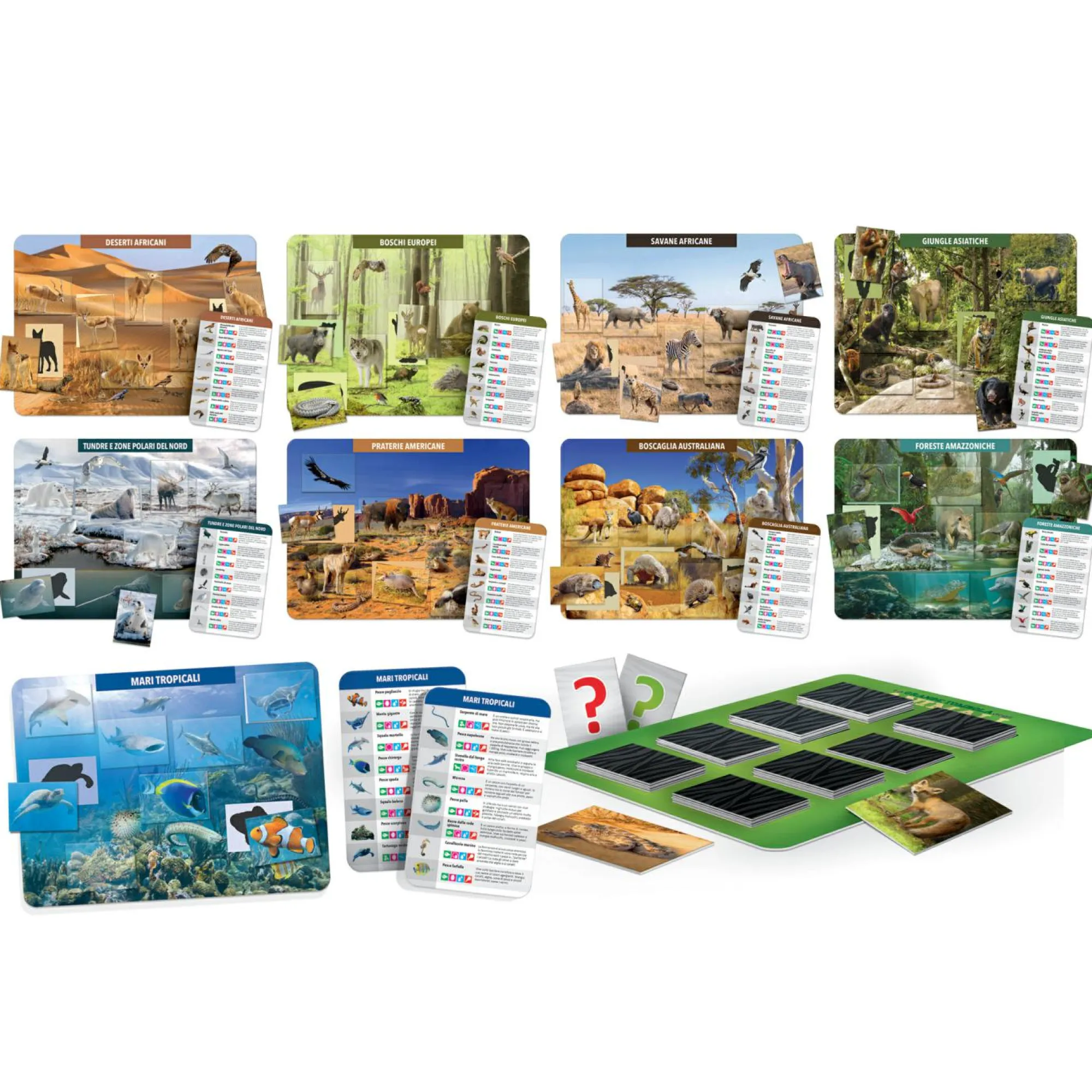 HEADU – la grande tombola degli animali> Primi Apprendimenti