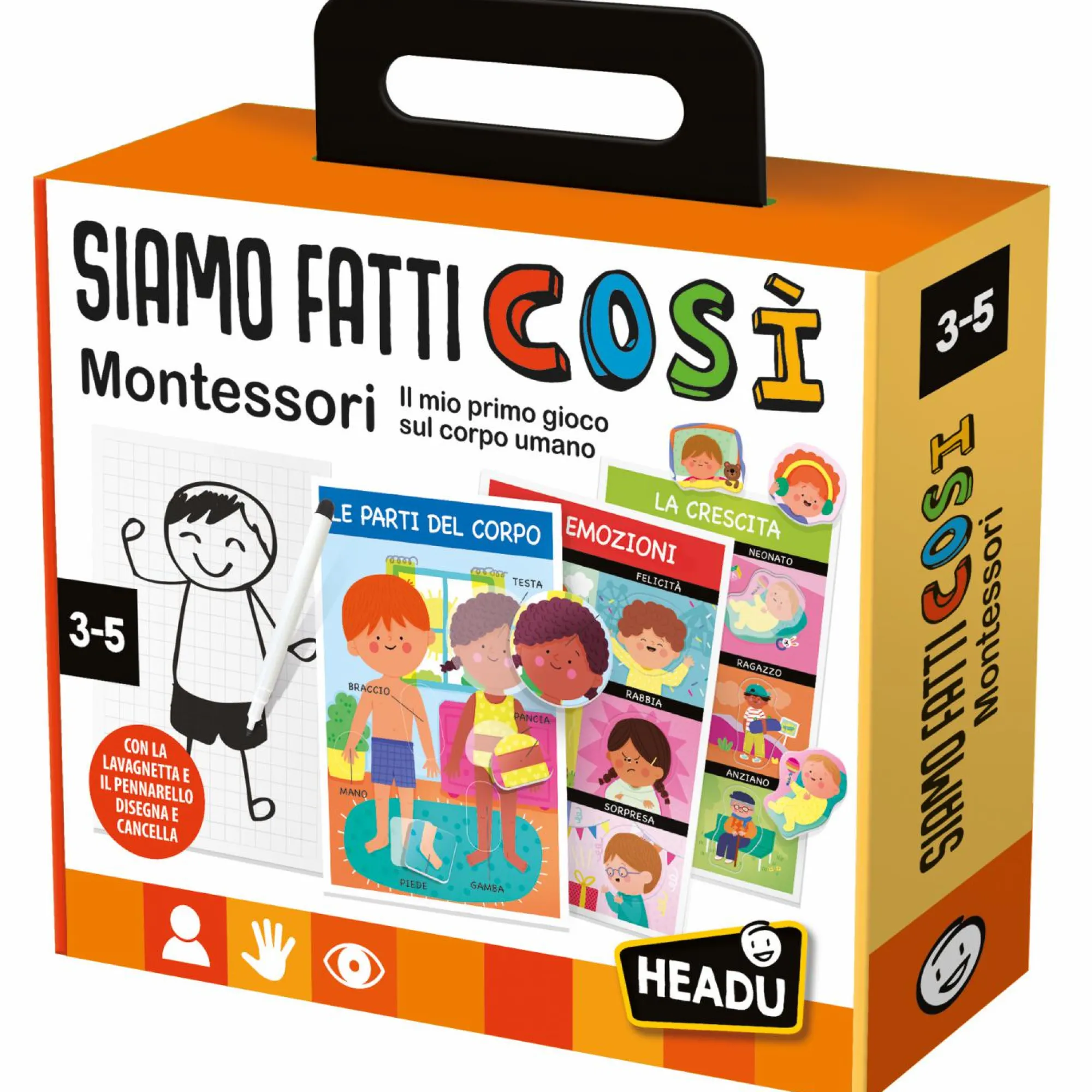 HEADU – il mio primo corpo umano montessori> Primi Apprendimenti