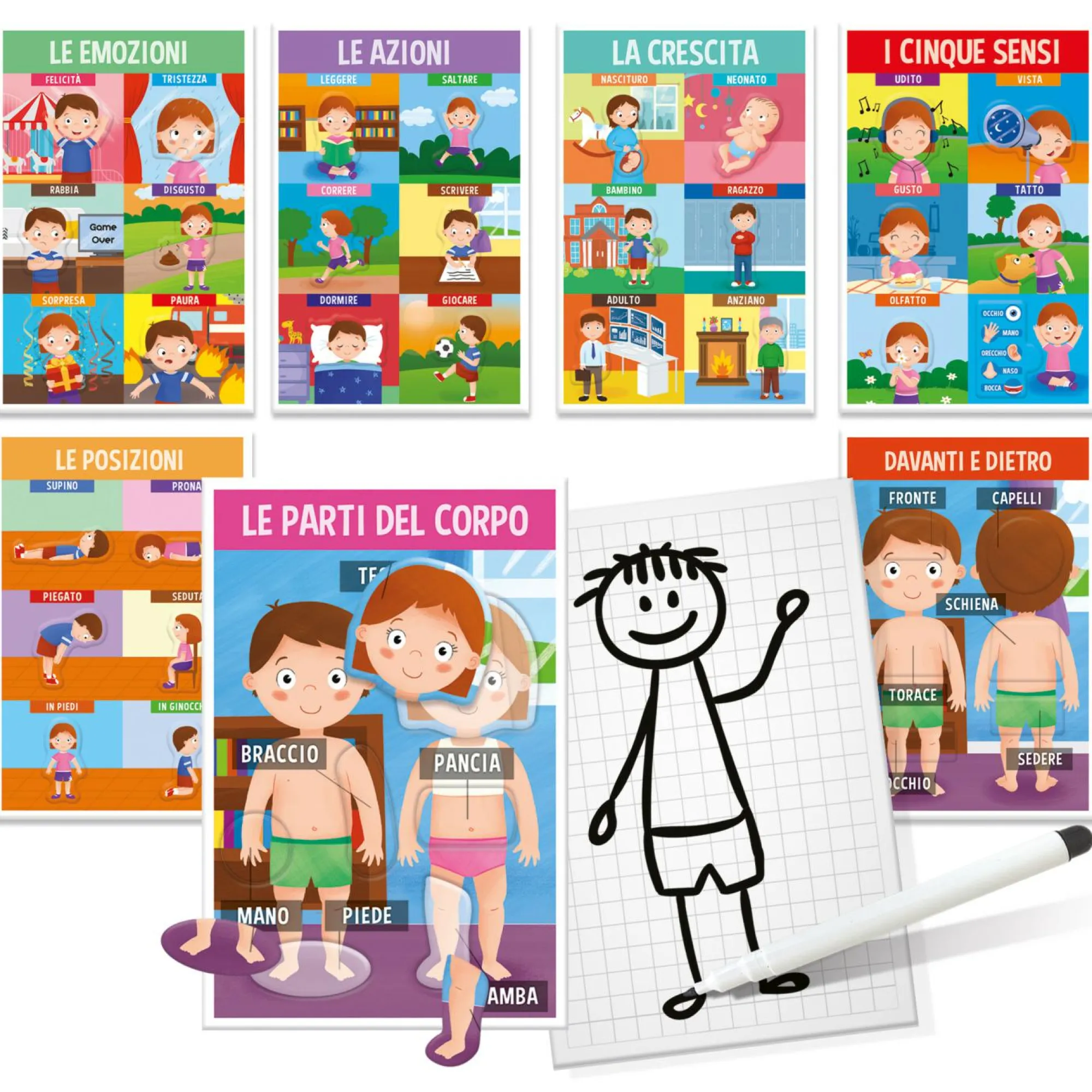 HEADU – il mio primo corpo umano montessori> Primi Apprendimenti