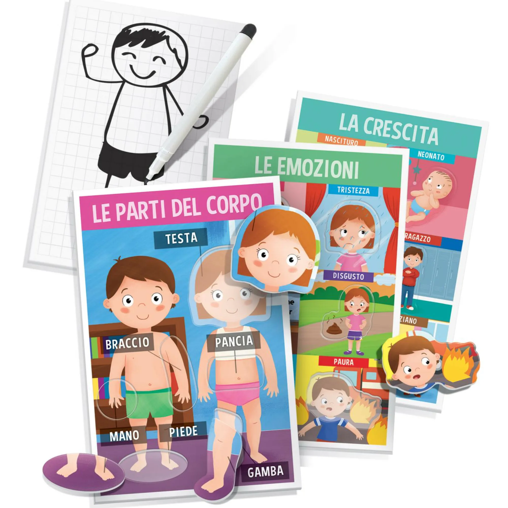 HEADU – il mio primo corpo umano montessori> Primi Apprendimenti