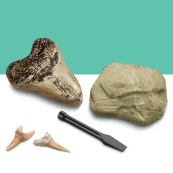 Discovery Mindblown Kit paleontologo con 2 denti di squalo><noscript><img width=