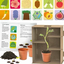 HEADU Labirinto delle piante. come orientare la crescita delle piante. s.t.e.m.6-10 anni> Primi Apprendimenti