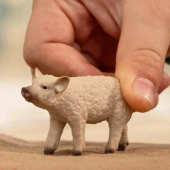 Schleich Maialino mangalica –> Action Figures