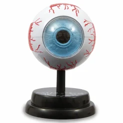MICRO PLANET Occhio – modello anatomico in 3d> Giochi Scientifici
