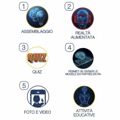 MICRO PLANET Occhio – modello anatomico in 3d><noscript><img width=