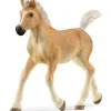 Schleich Puledro avelignese –> Action Figures