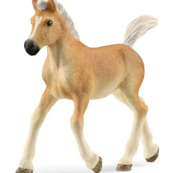 Schleich Puledro avelignese –> Action Figures