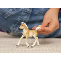 Schleich Puledro avelignese –> Action Figures
