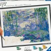 CREART Ravensburger – art collection monet: le ninfee, kit per dipingere con i numeri, gioco creativo e relax, 14+ anni> Gadget E Idee Regalo Per Adulti|Kit Artistici E Pittura