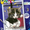 RAVENSBURGER – creart serie d: gattini, kit per dipingere con i numeri, contiene una tavola prestampata, pennello, colori e accessori, gioco creativo per bambini 7+ anni> Kit Artistici E Pittura