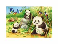 RAVENSBURGER – puzzle 2x24 pezzi – dolci koala e panda> Puzzle Per Bambini