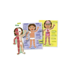 SAPIENTINO corpo umano – impara giocando con i principi montessori><noscript><img width=