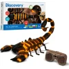 Discovery Toys Scorpione radiocomandato con suoni e luci> Tablet E Giochi Interattivi