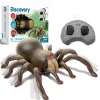 Discovery Toys Tarantola radiocomandata con suoni realistici> Tablet E Giochi Interattivi