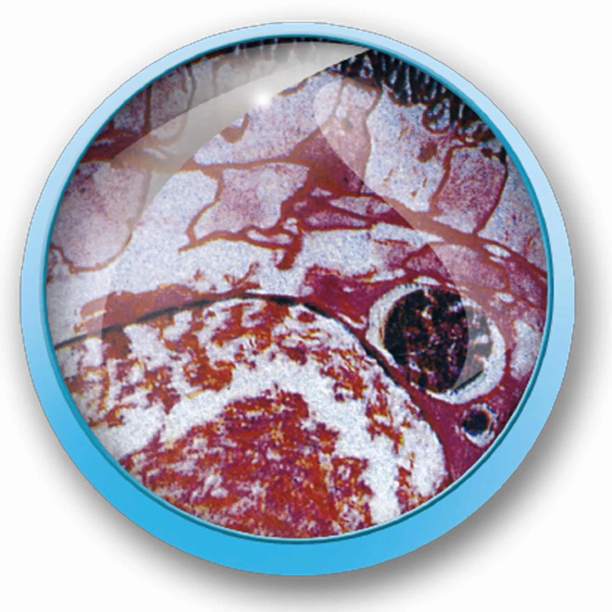 MICRO PLANET Valigetta microscopio 1200x> Giochi Scientifici